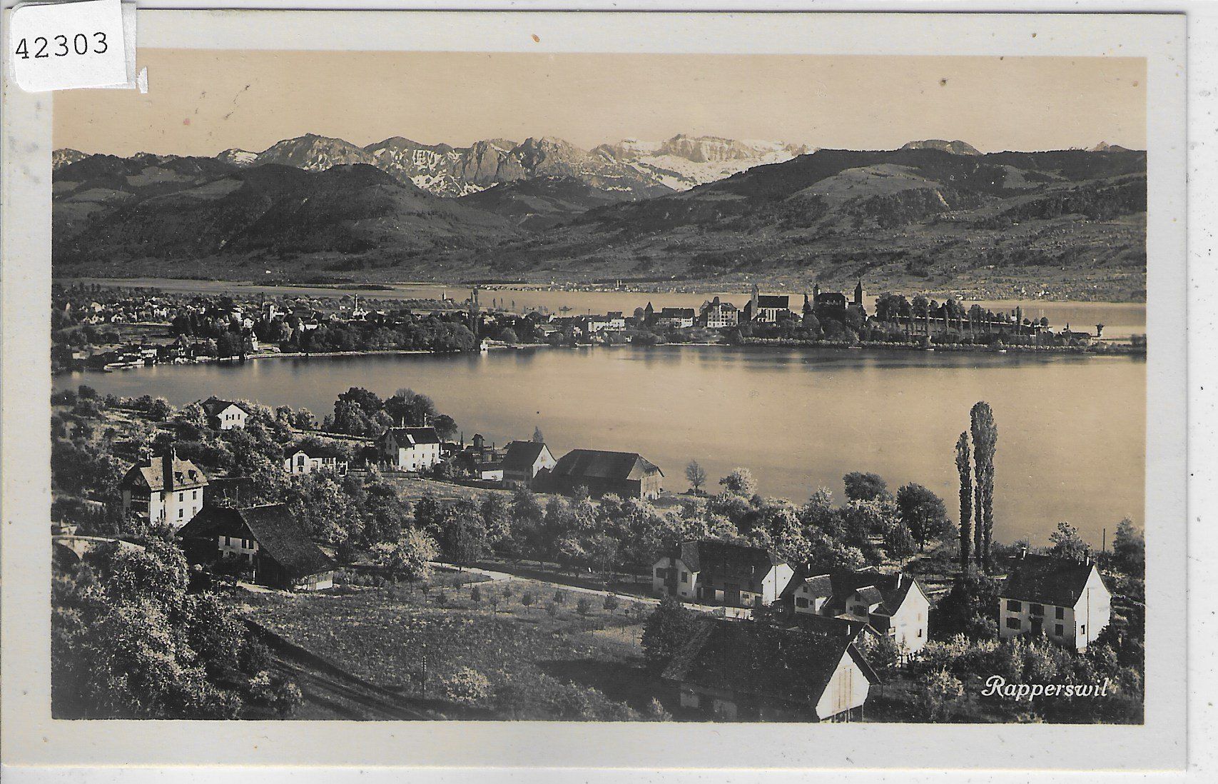 Cartoline postali: Panorama von Rapperswil – Usato da Ettingen venduto da Kartenplanet