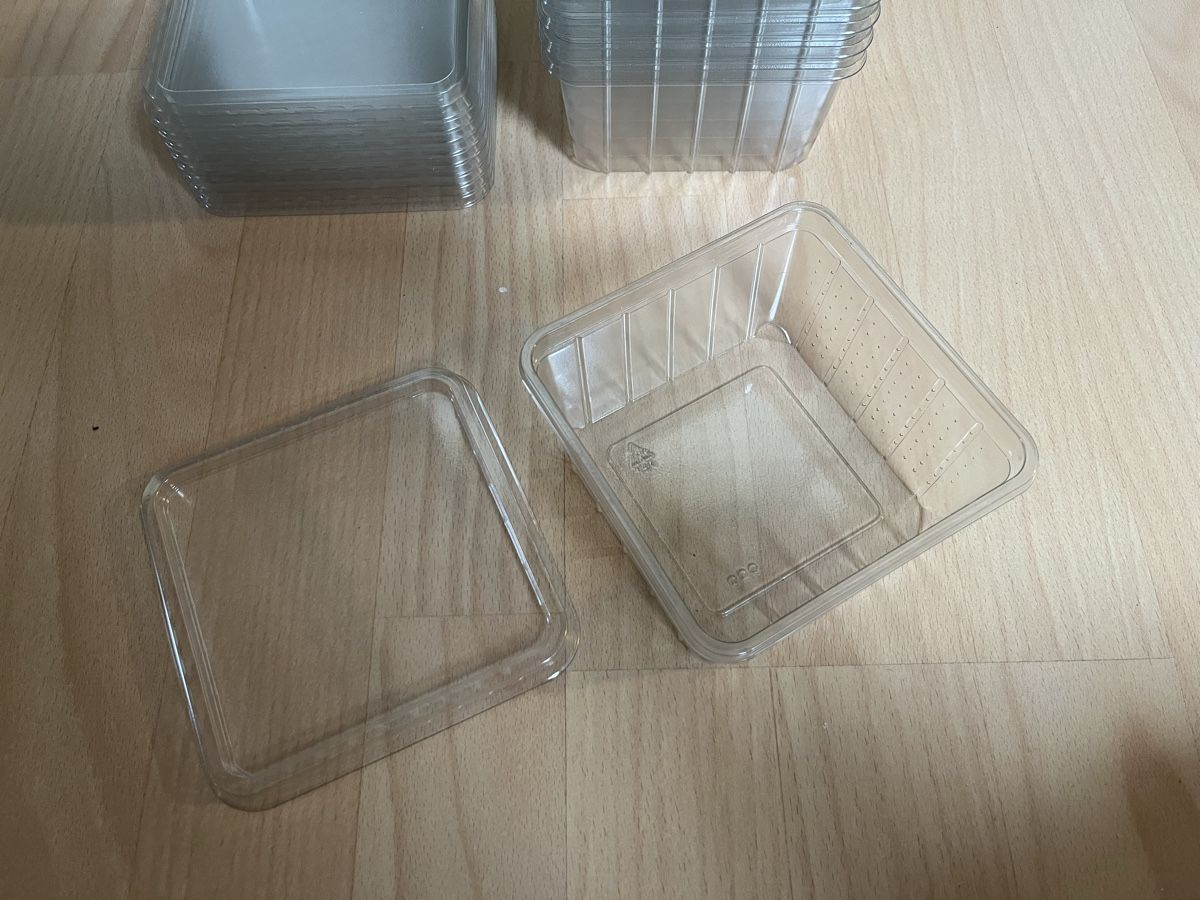 Behälter & Ähnliches: Heimchendosen/Insektendose neu, 10 Stk – Neu (gemäss Beschreibung) aus Heerbrugg von R.St27 1