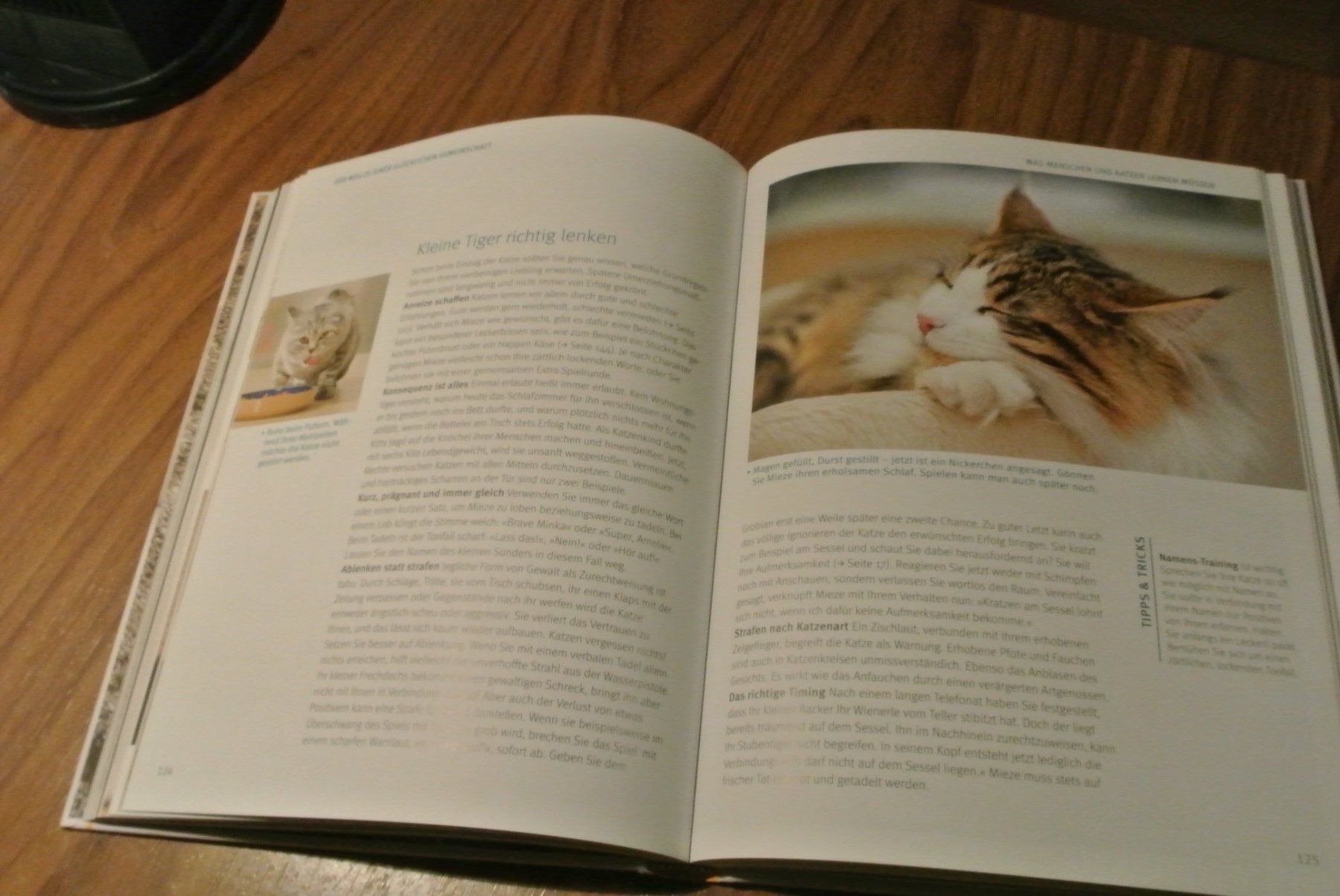 Libri: Wohnungs Katzen – Usato da Rüschlikon venduto da CBPL 1