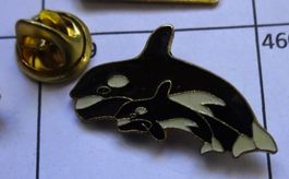 Pin 2 Wale Fische