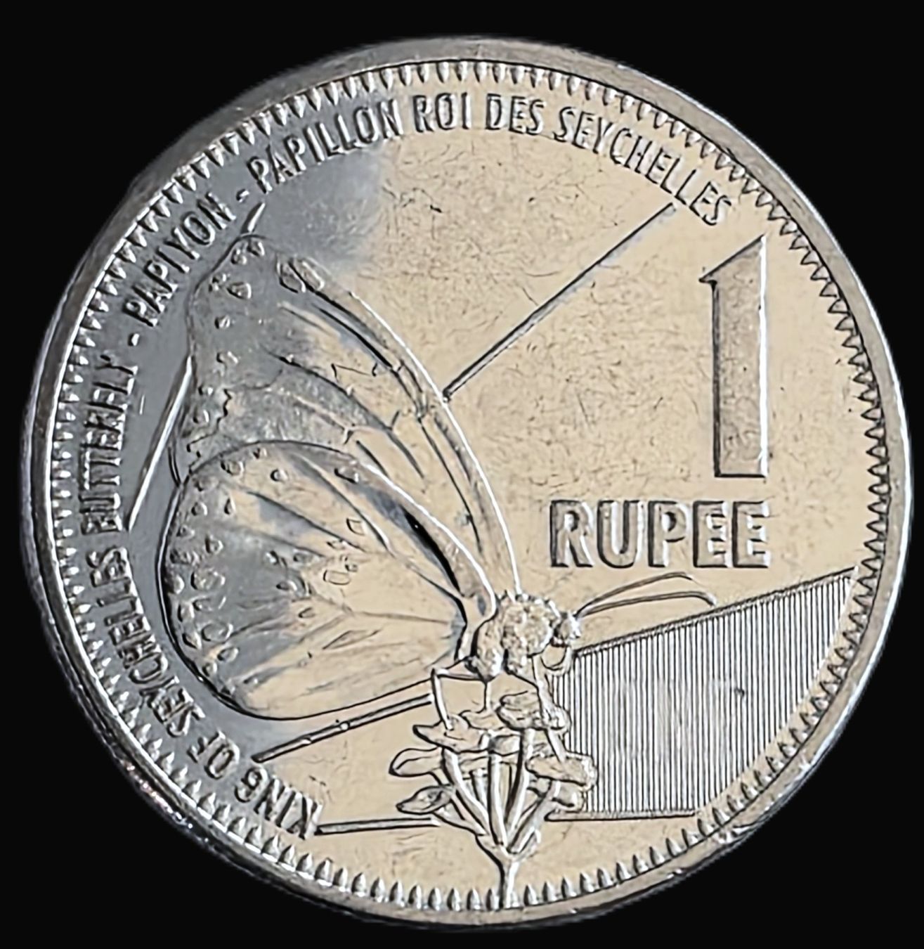 Tutti le monete: SEYCHELLES 1 RUPEE 2022 – Nuovo (secondo la descrizione) da winterthur venduto da CoinPassion