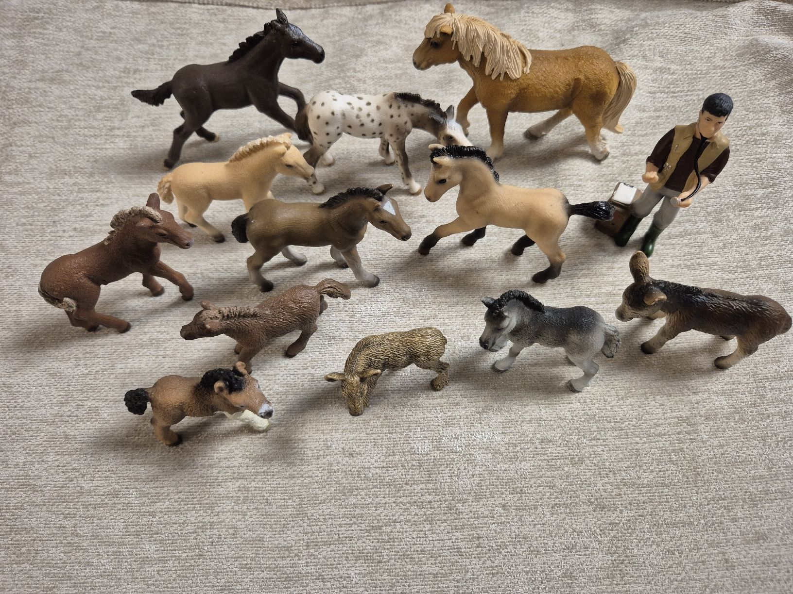 Schleich Statuette: Schleich Pferde Figuren Set 13-teilig  – Nuovo (secondo la descrizione) da Fehraltorf venduto da Joggel3