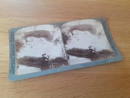 STEREOHOTO - LUZERN - MUTTER TOCHTER vor LOEWEN DENKMAL