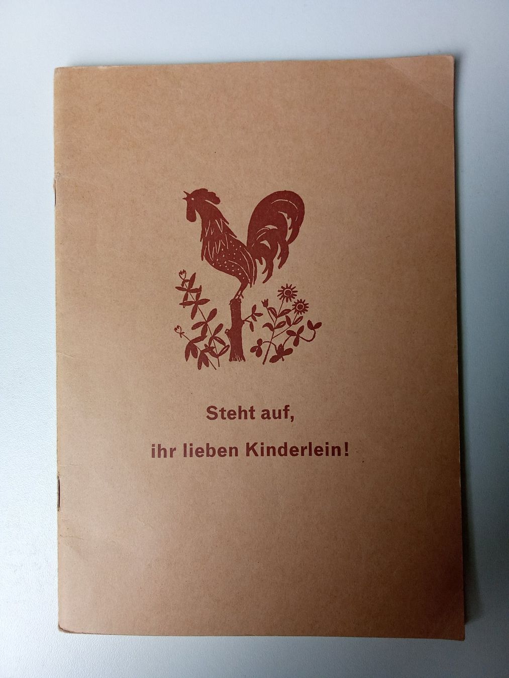 Libri: Schweizerfibel "Steht auf, ihr lieben Kinderlein" (1969) – Usato da Bilten venduto da Bora3