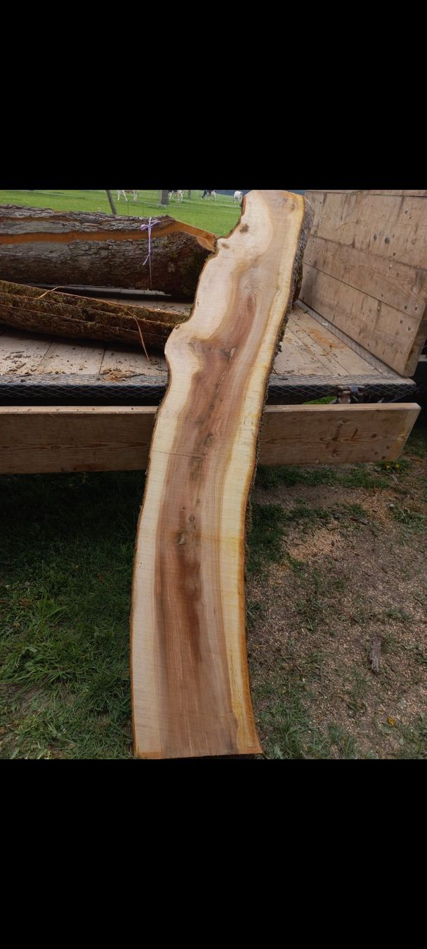 Articles en bois: Apfelbaum Bretter – D'occasion à Hohenrain par Forstwart1997 2