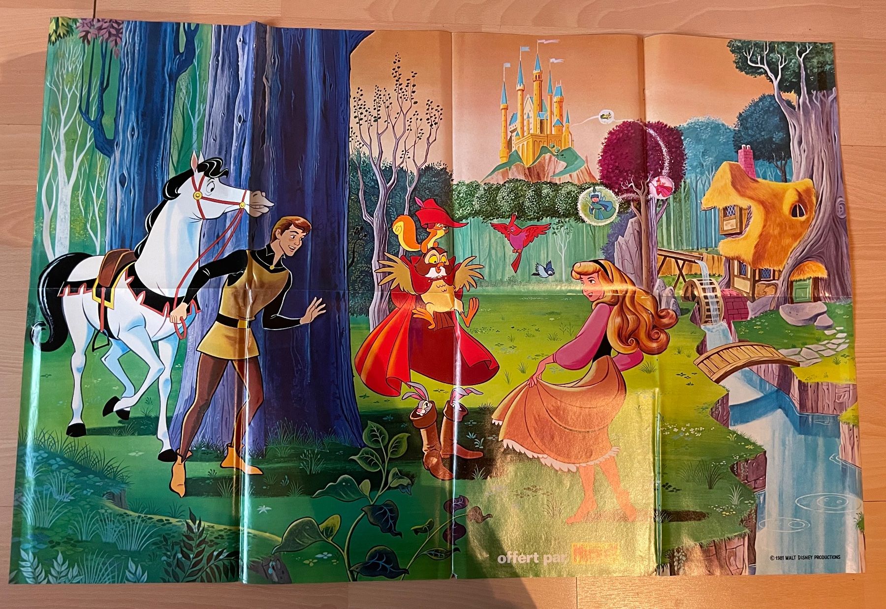 Foto & Immagini: Poster WALT DISNEY 1981 – Usato da Oron-la-Ville venduto da W.XIX