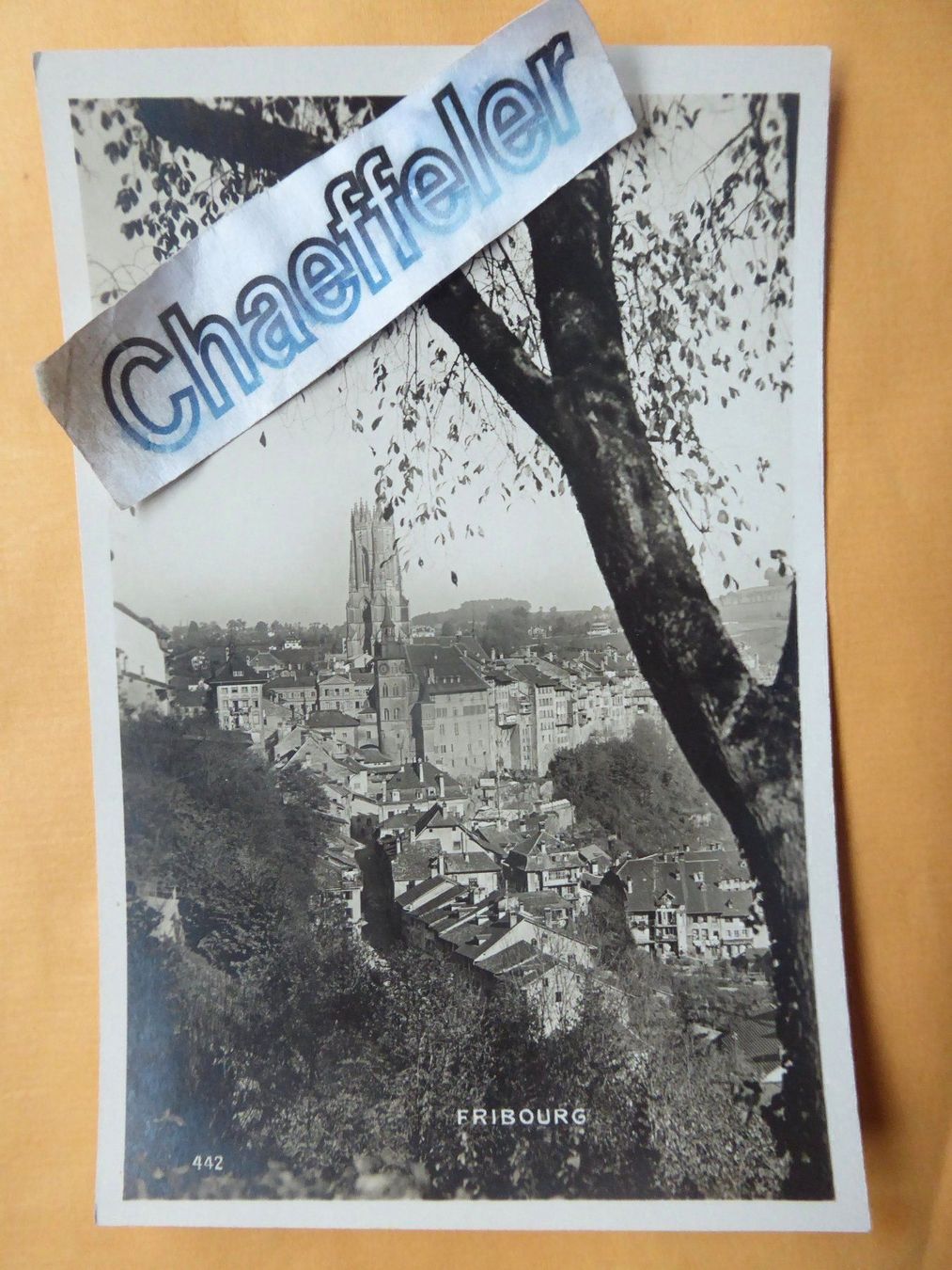 Cartoline postali: 442 Fribourg – Usato da Zürich venduto da Chaeffeler