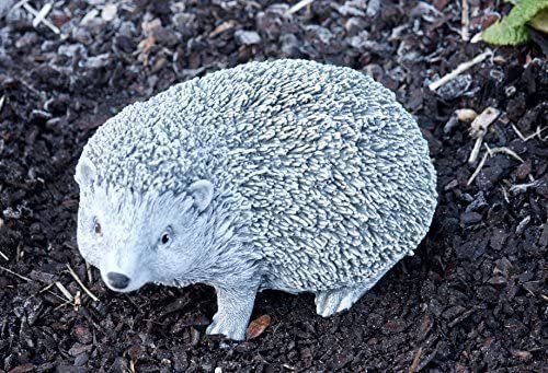 Sculture & Statue: Igel Stein Skulptur Steinfigur Hérisson en pierre – Nuovo e nell'imballaggio originale da Lopagno venduto da CLep 1