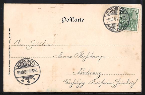Cartoline postali: Grusskarten-AK Oldenburg i. Gr., Panoram – Usato da Berlin venduto da bartko-reher 1