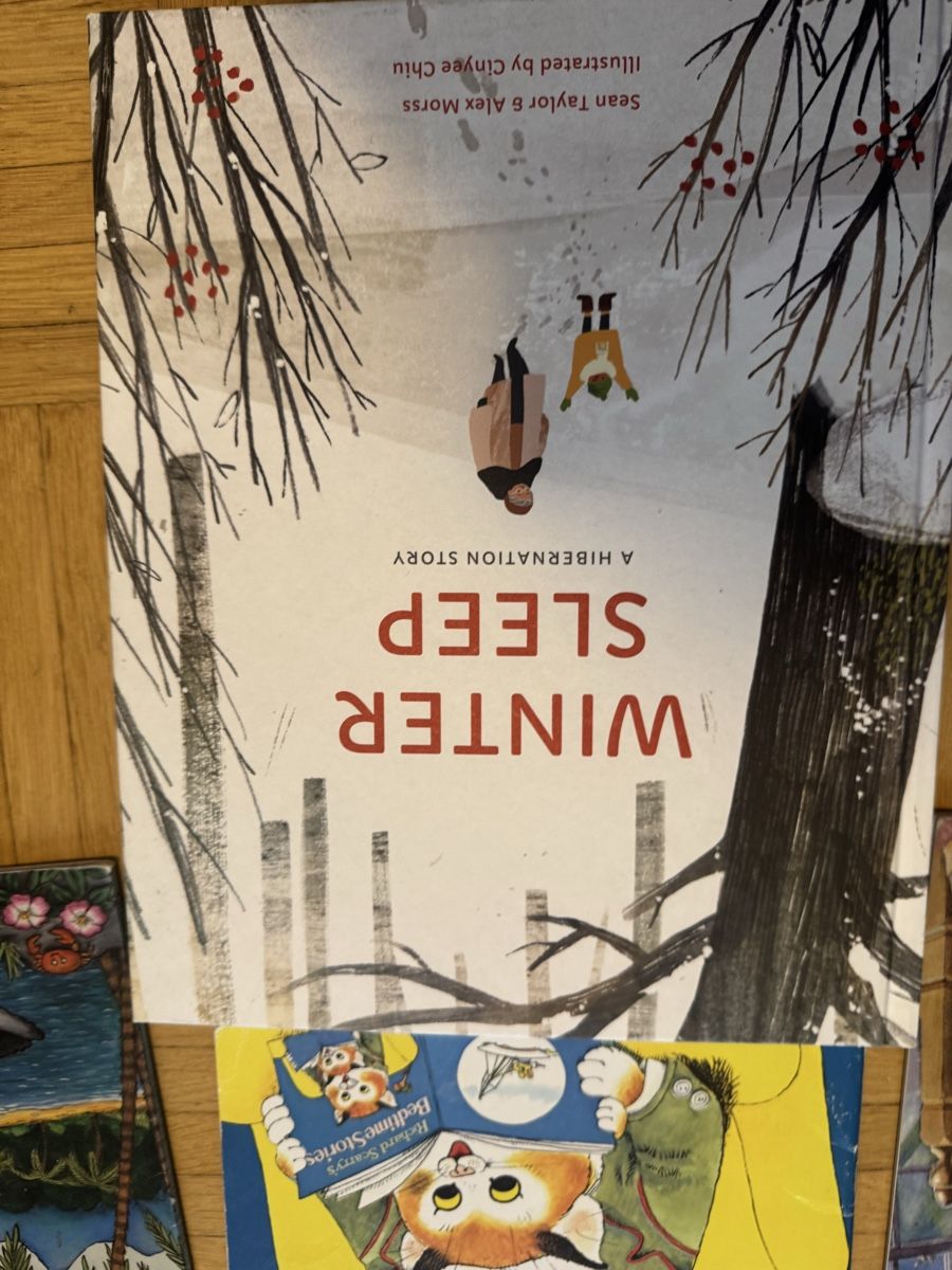 Libri: Englische Kinderbücher Set  – Usato da Zürich venduto da oase69 3