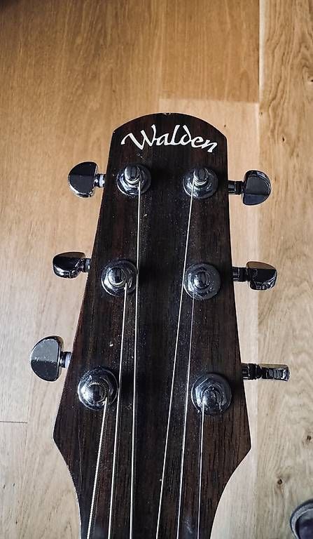 Strumenti musicali: Gitarre Walden Concordia – Usato da Berg SG venduto da Berglerfabi 2