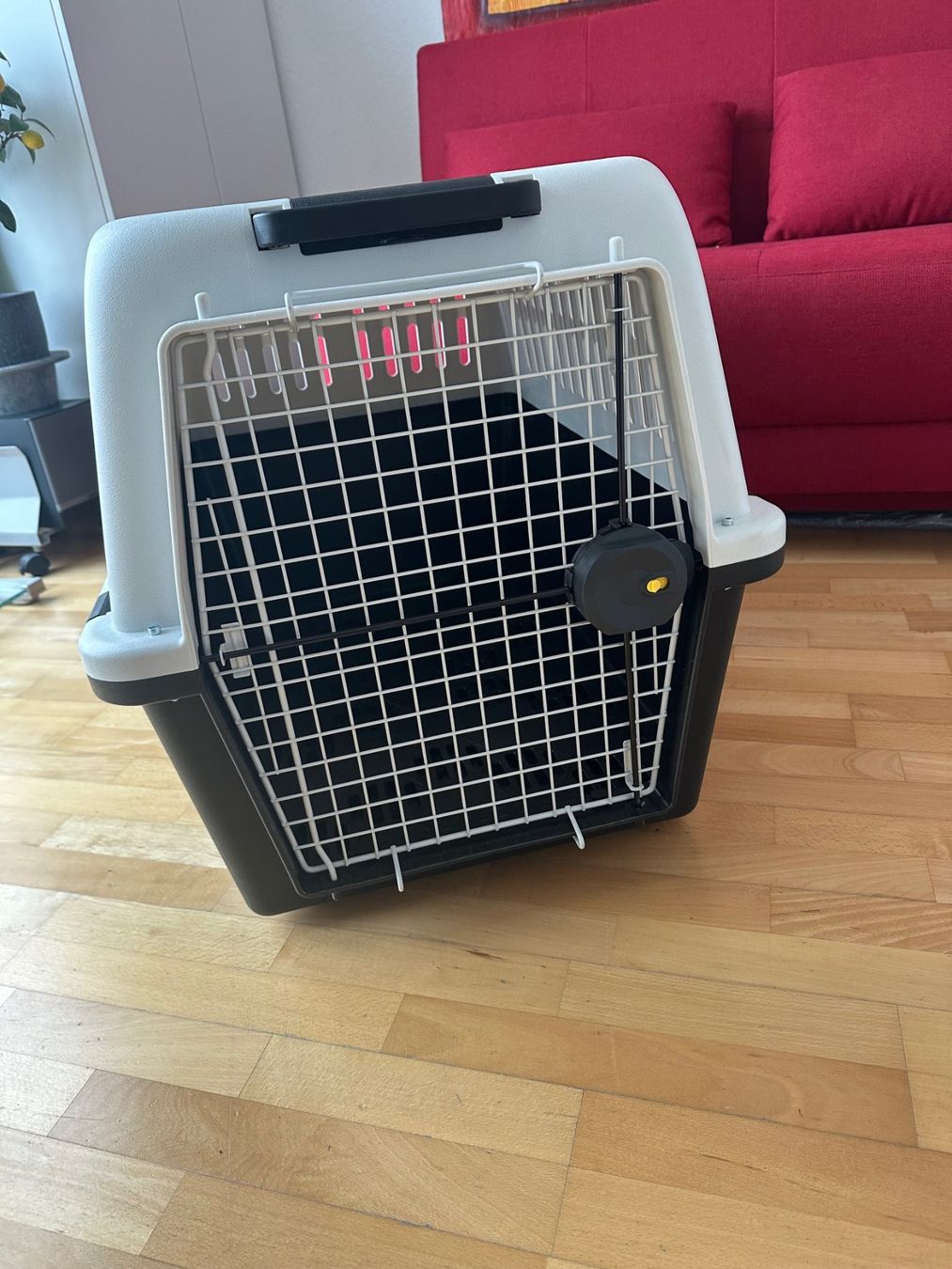 Ferplast Gabbie, trasporto & Sicurezza: Hundebox – Usato da Rümlang venduto da Viamar 3