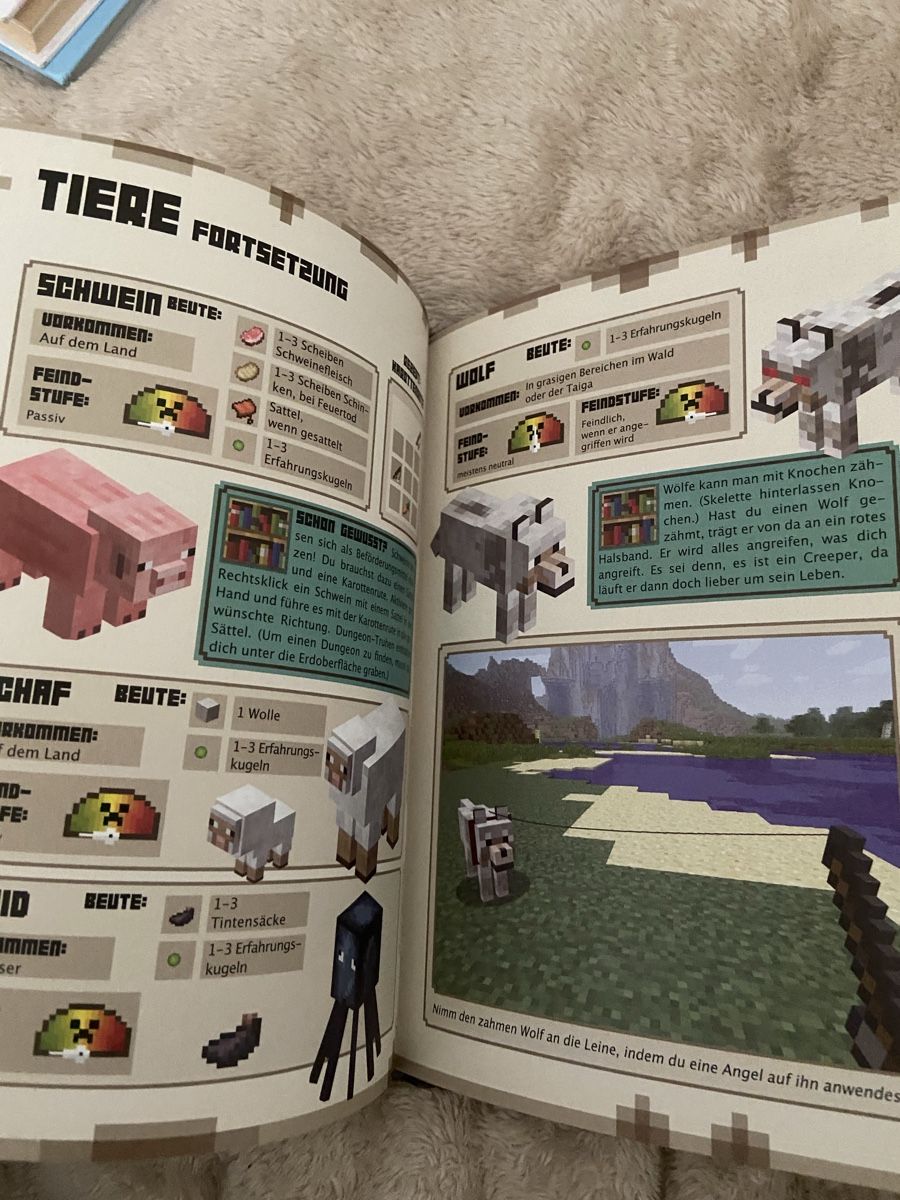 Libri: Minecraft Einsteiger Handbuch Schneiderbuch guter Zustand de – Nuovo (secondo la descrizione) da Heimberg venduto da Mondlicht26 1