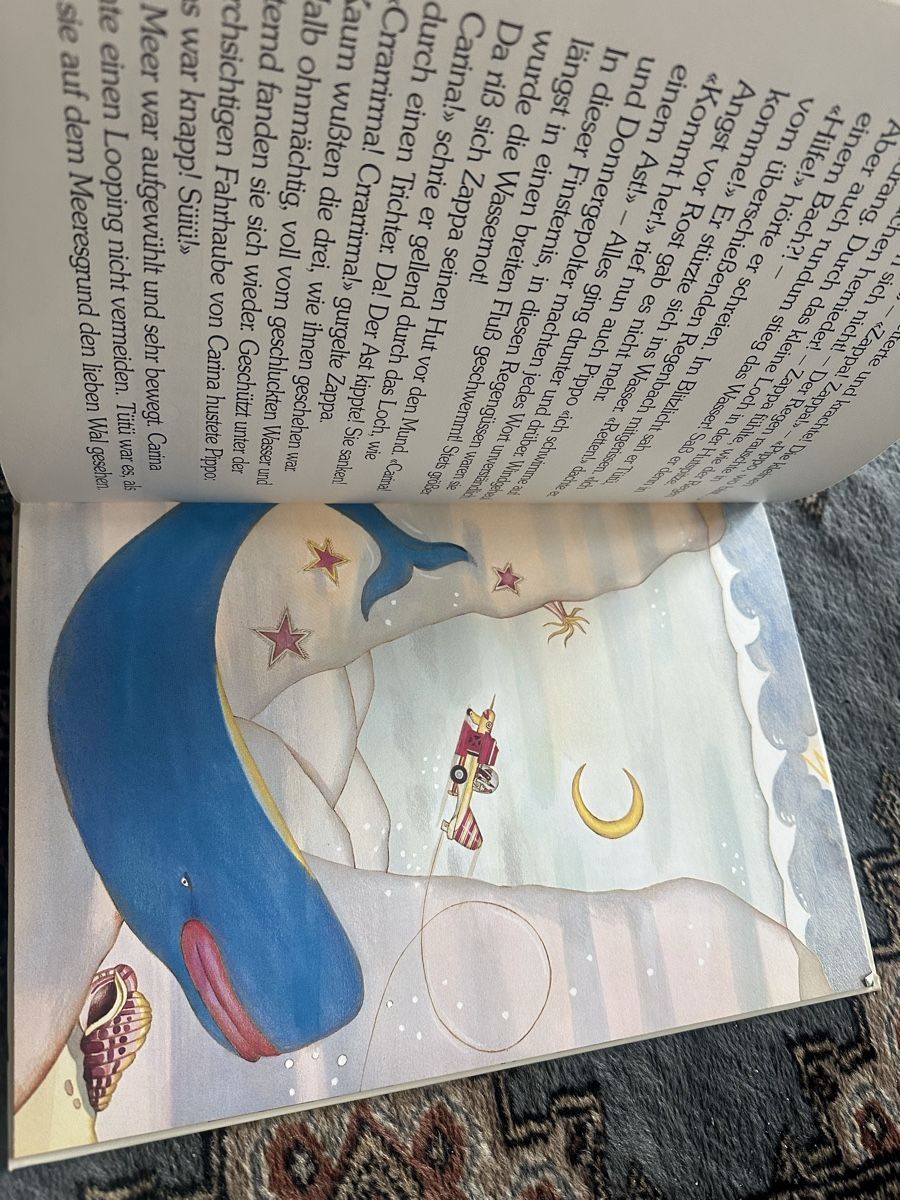 Libri: Fahrt ins Kinderland Mario Grasso – Usato da Uster venduto da bek_v2ct 4