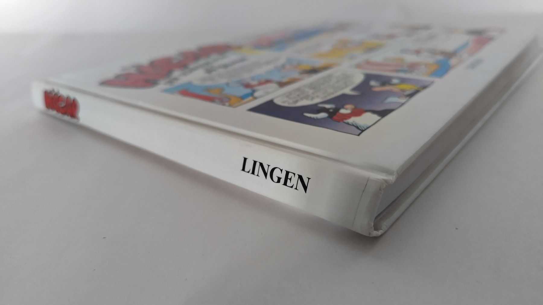 Fumetti: Hägar der Schreckliche / Heldengeschichten / Buch 160 Seiten – Usato da Bellach venduto da JingleJerry 1