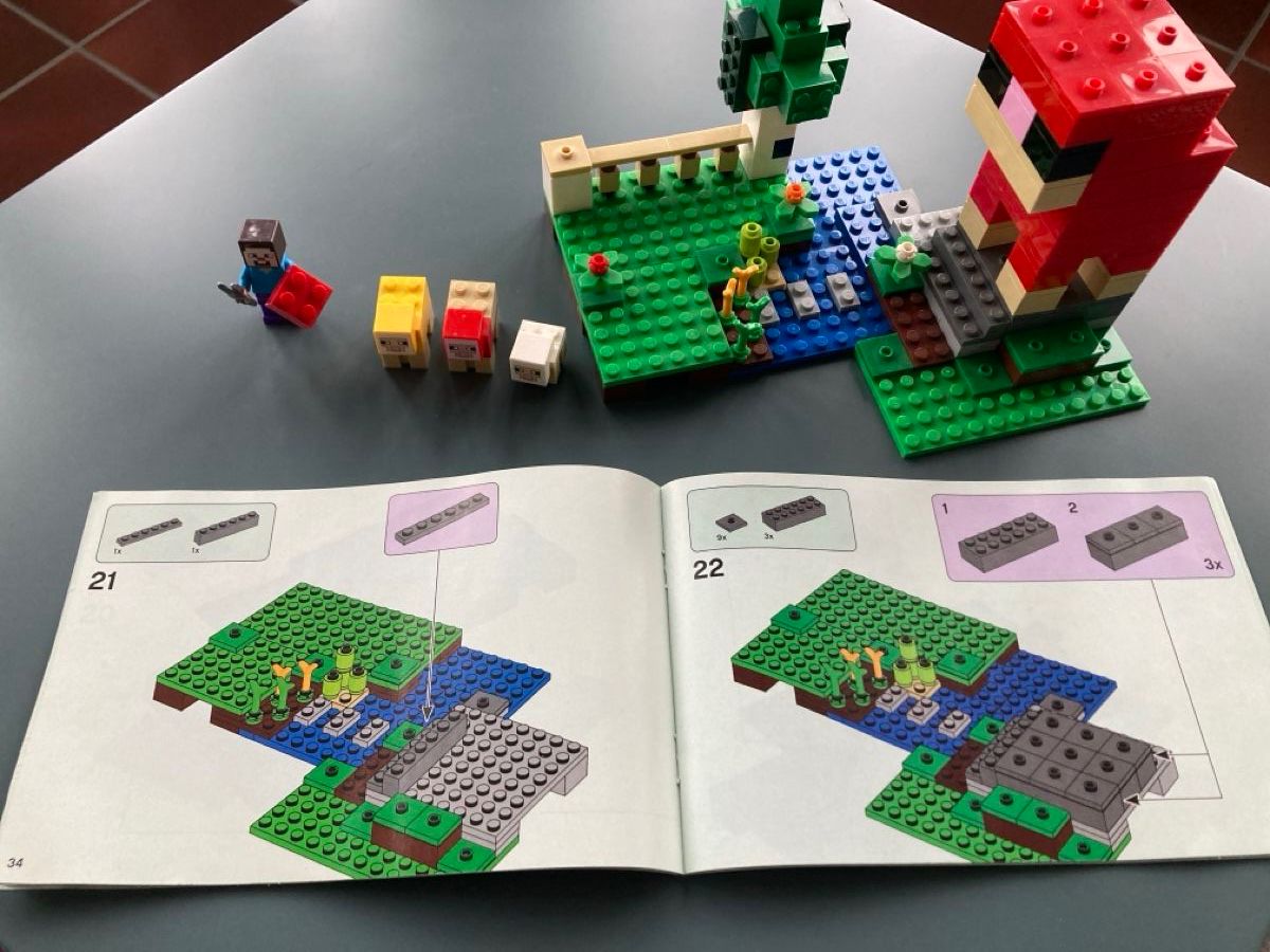 Lego Kit di costruzioni: Lego Minecraft Das Schaf  21153 – Usato da Bergdietikon venduto da Ricardola 2