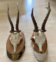 Rehbock-Schädel auf Holzsockel, Dekoration