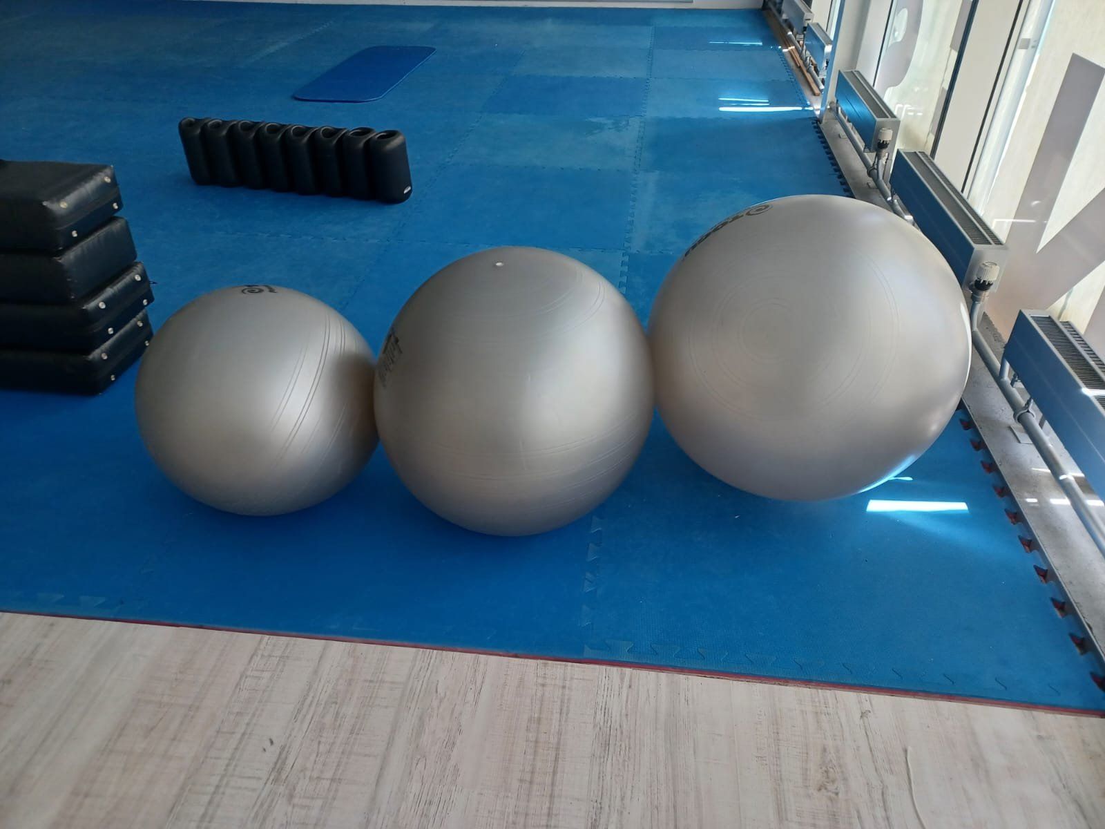 Togu Palloni: Gymnastikbälle (Togu) – Usato da Bern venduto da Sudowudo 1