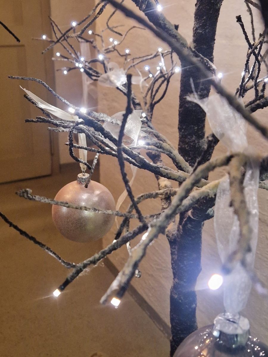 Tutte le decorazioni: Winterdeko Baum mit Lichterkette, Top Zustand – Usato da Schlieren venduto da SB_LO 7