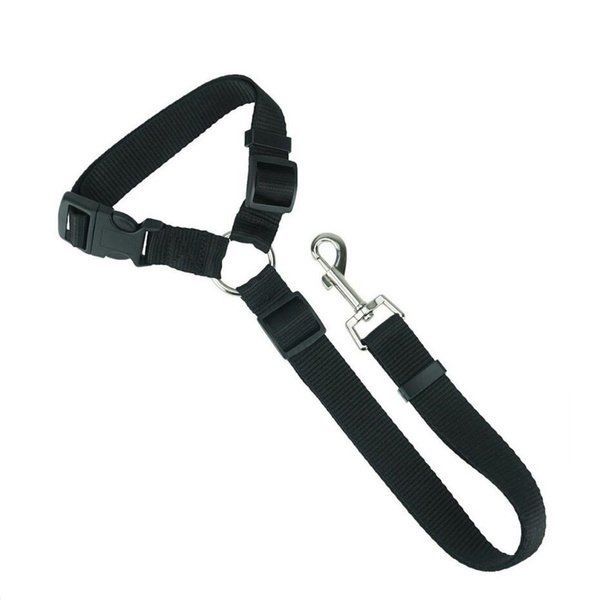Attrezzatura da arrampicata: Haltegurt (Hund) Auto inkl. Leine – Nuovo e nell'imballaggio originale da Langenbruck venduto da Gumsi 5