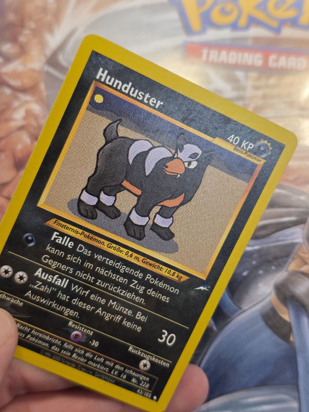 Pokémon Carte collezionabili: Hunduster 43/105 Neo Destiny 2002 Pokémon Karte -DE – Nuovo (secondo la descrizione) da Basel venduto da MartinM.91 2
