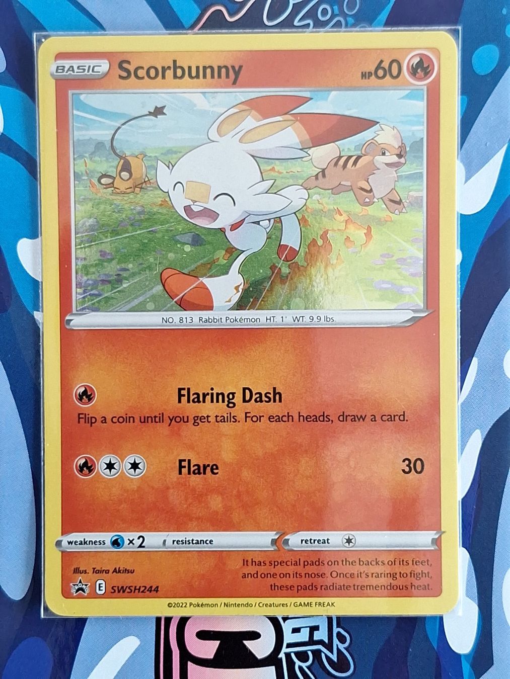 Pokémon Carte collezionabili: Scorbunny Holo Promo - #14 – Usato da Altstätten SG venduto da GGsGameshop