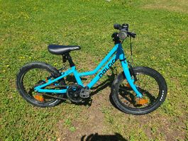 Tolles Naloo Chameleon Kinder Velo, 16 Zoll, Guter Zustand!