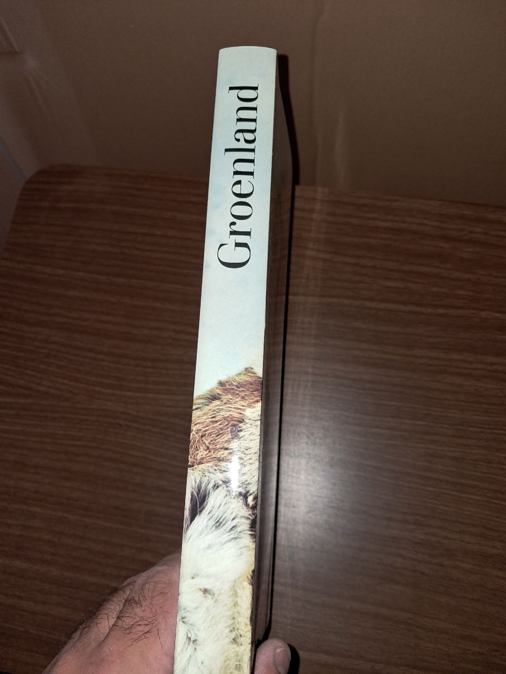 Libri: Livre sur le Groenland – Usato da Le locle venduto da juliensaran 2