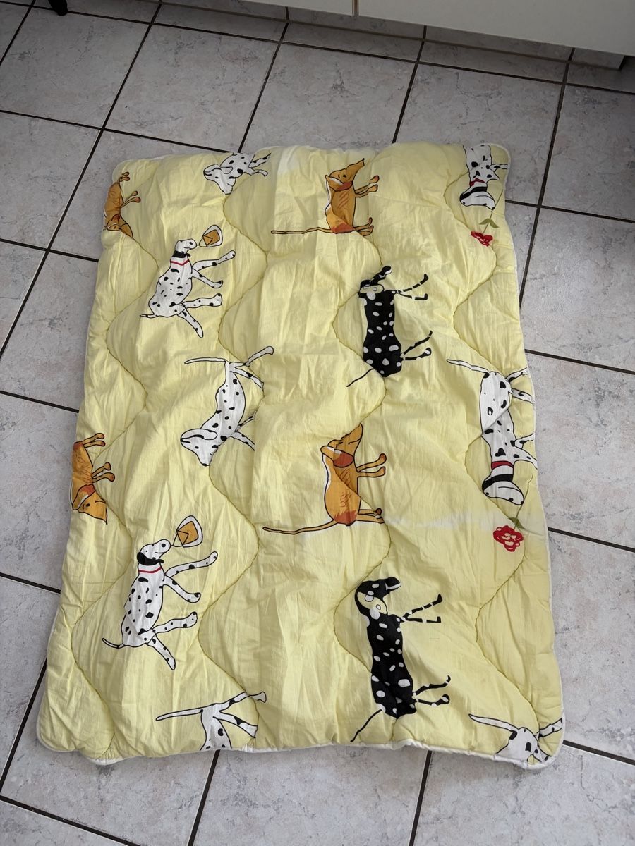 Coperte: Kinder Bettdecke 108 cm x 85 cm  – Usato da Sevelen venduto da gsandax 1