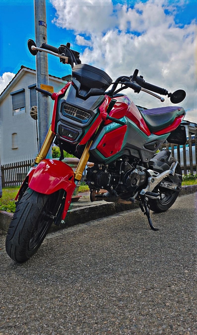 Honda Strada: Honda MSX 125A – Usato da Döttingen venduto da Capuella 3