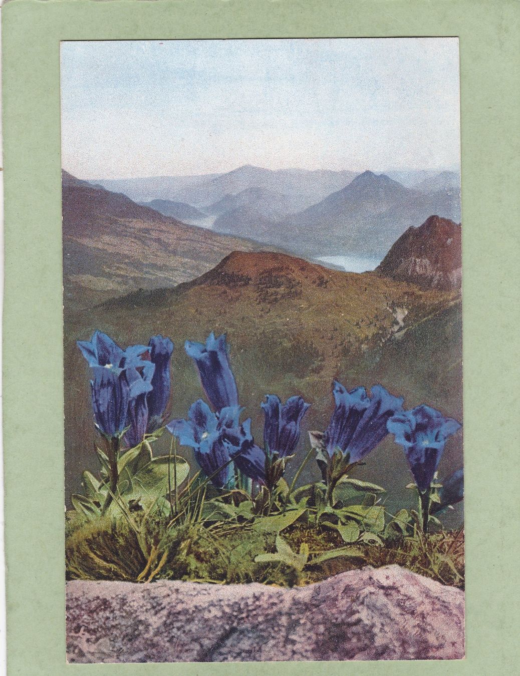 Ansichtskarten: Kitsch Kunst Landschhaft Enzian – Gebraucht aus Herisau von Lisegrat2008