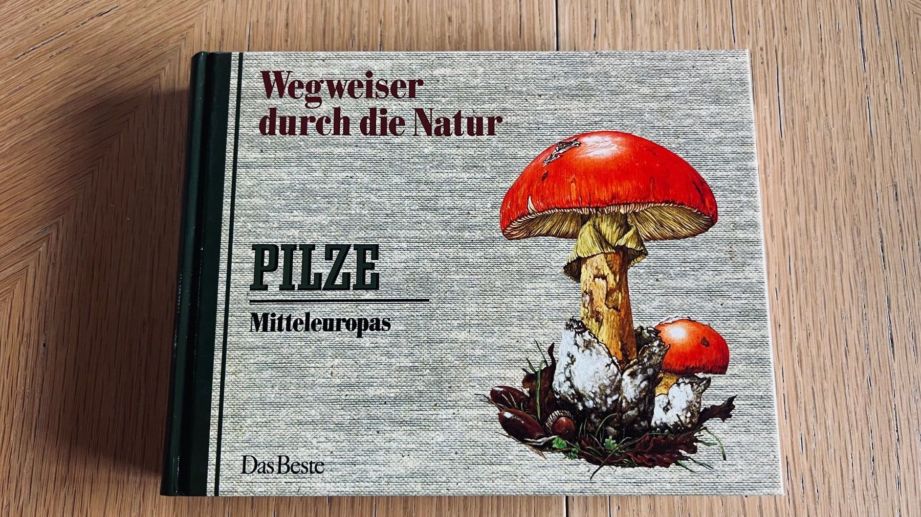 Libri: Pilze Mitteleuropas - Wegweiser Natur,1982 – Usato da Schübelbach venduto da Bemafaja