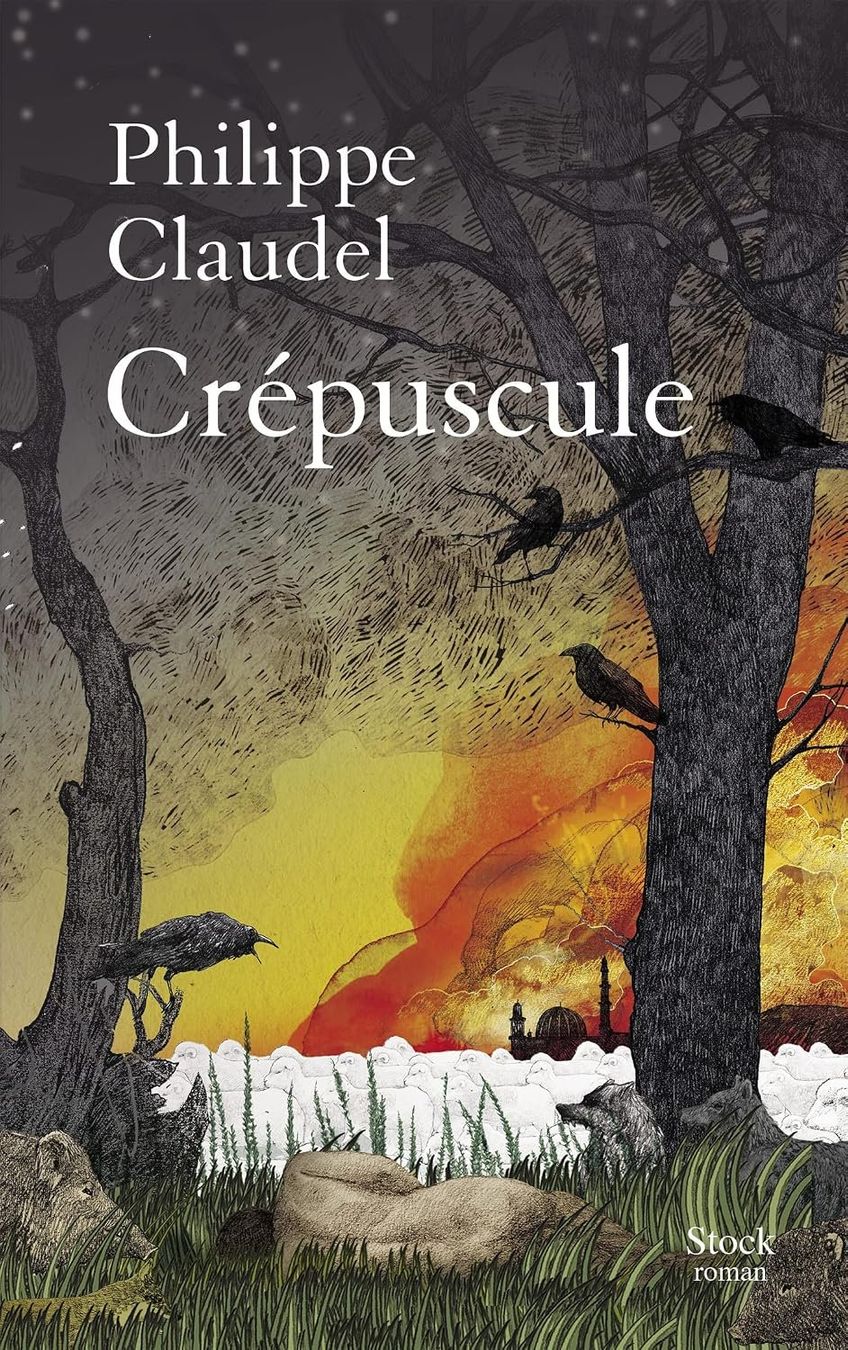 Libri: Crépuscule – Usato da Neuchâtel venduto da Dualseele