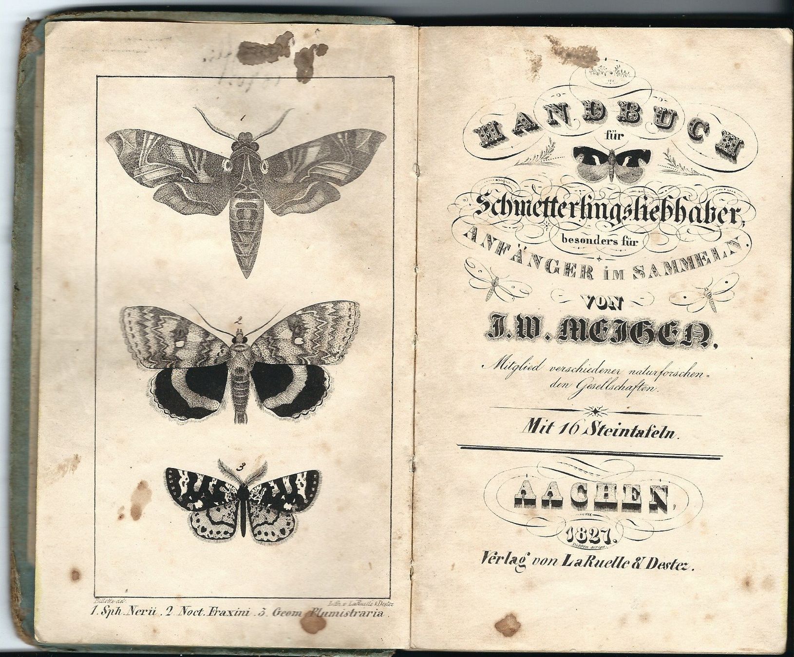 Libri: Schmetterling Buch von 1827 – Usato da Chambesy venduto da Mfluc714