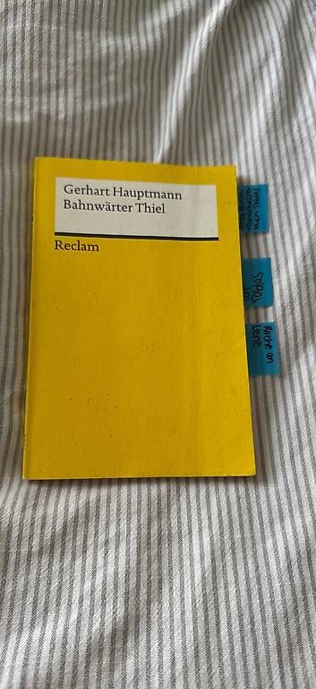 Bücher: Bahnwärter Thiel / Gerhart Hauptmann – Gebraucht aus Kirchdorf BE von lyn_5j7y