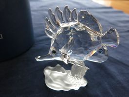 Swarovski Pinzettenfisch