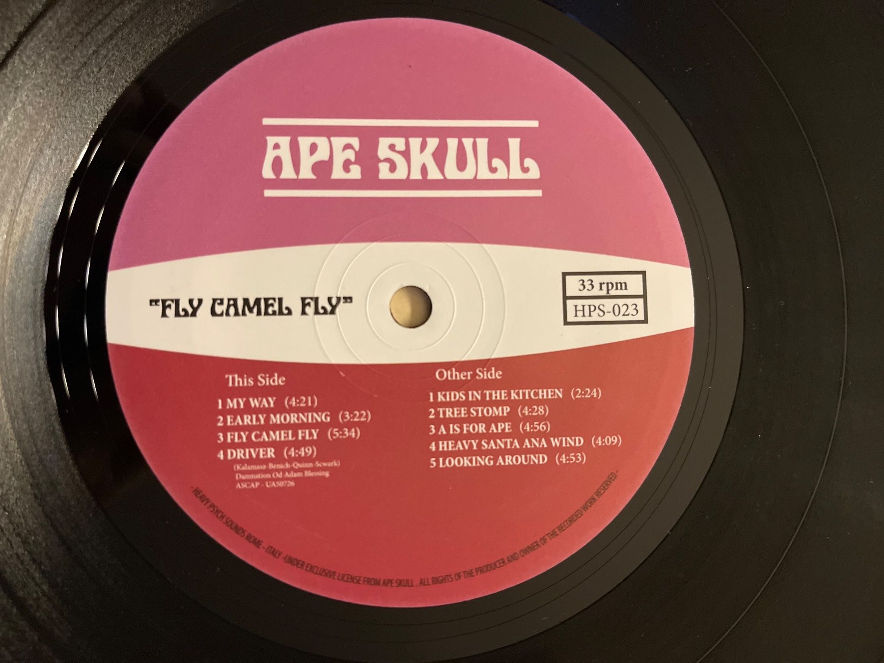 Schallplatten: S35/Ape Skull - Fly Camel Fly – Gebraucht aus Frutigen von Philippe_jsp 2