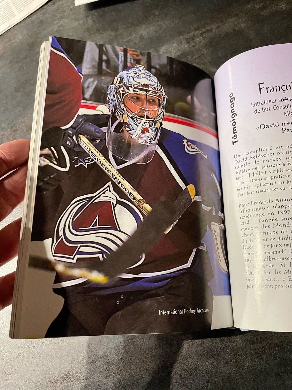 Libri: Livre Hockey David Aebischer Signé – Usato da Vallamand venduto da Bricbracbroc82 4