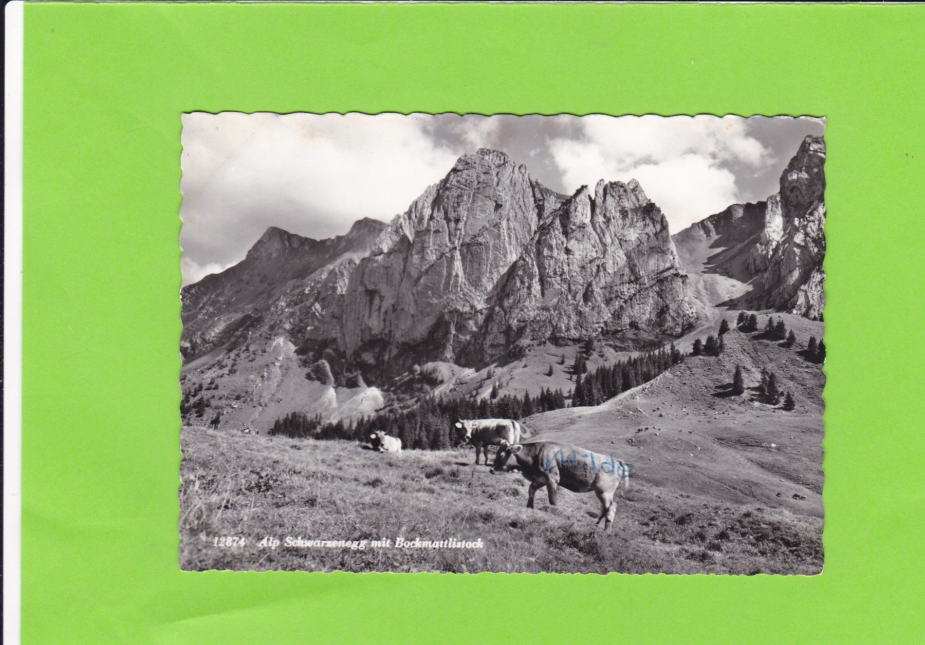 Cartoline postali: Alp Schwarzenegg – Usato da St. Peterzell venduto da neckertal