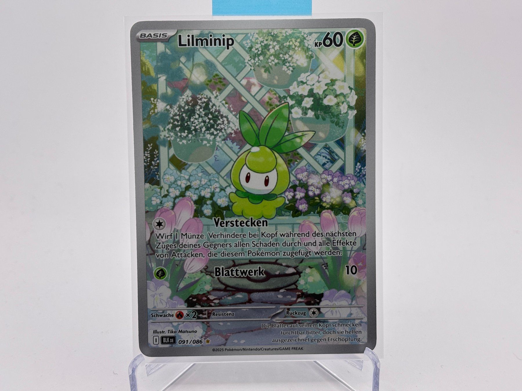 Pokémon Carte collezionabili: Schwarze Blitze - Lilminip (BLK 91) - DE – Nuovo (secondo la descrizione) da Allschwil venduto da Bullach