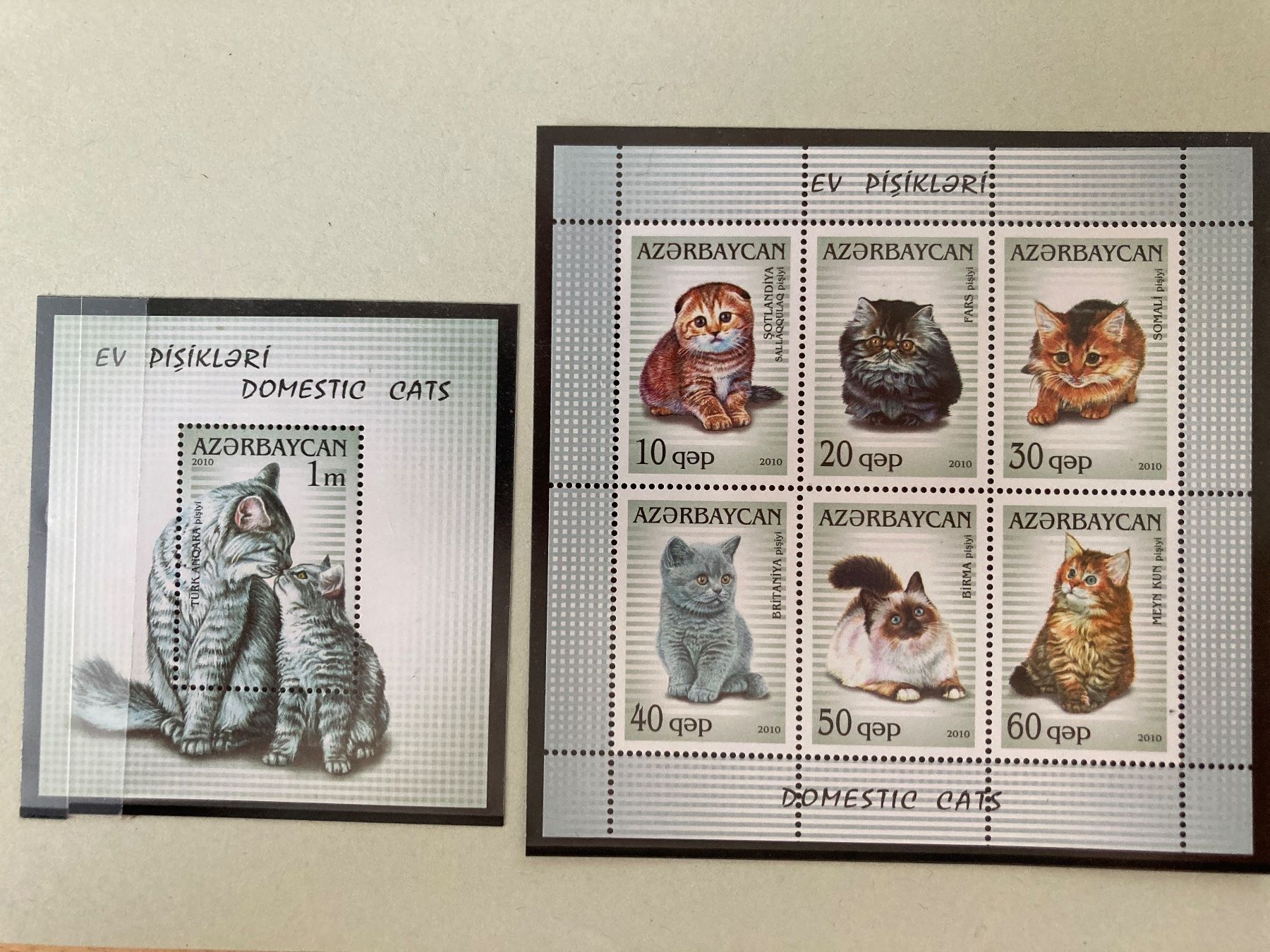 Tutti i francobolli: Aserbaidschan 2010 KATZEN ** – Nuovo (secondo la descrizione) da Erlach venduto da Schaliko