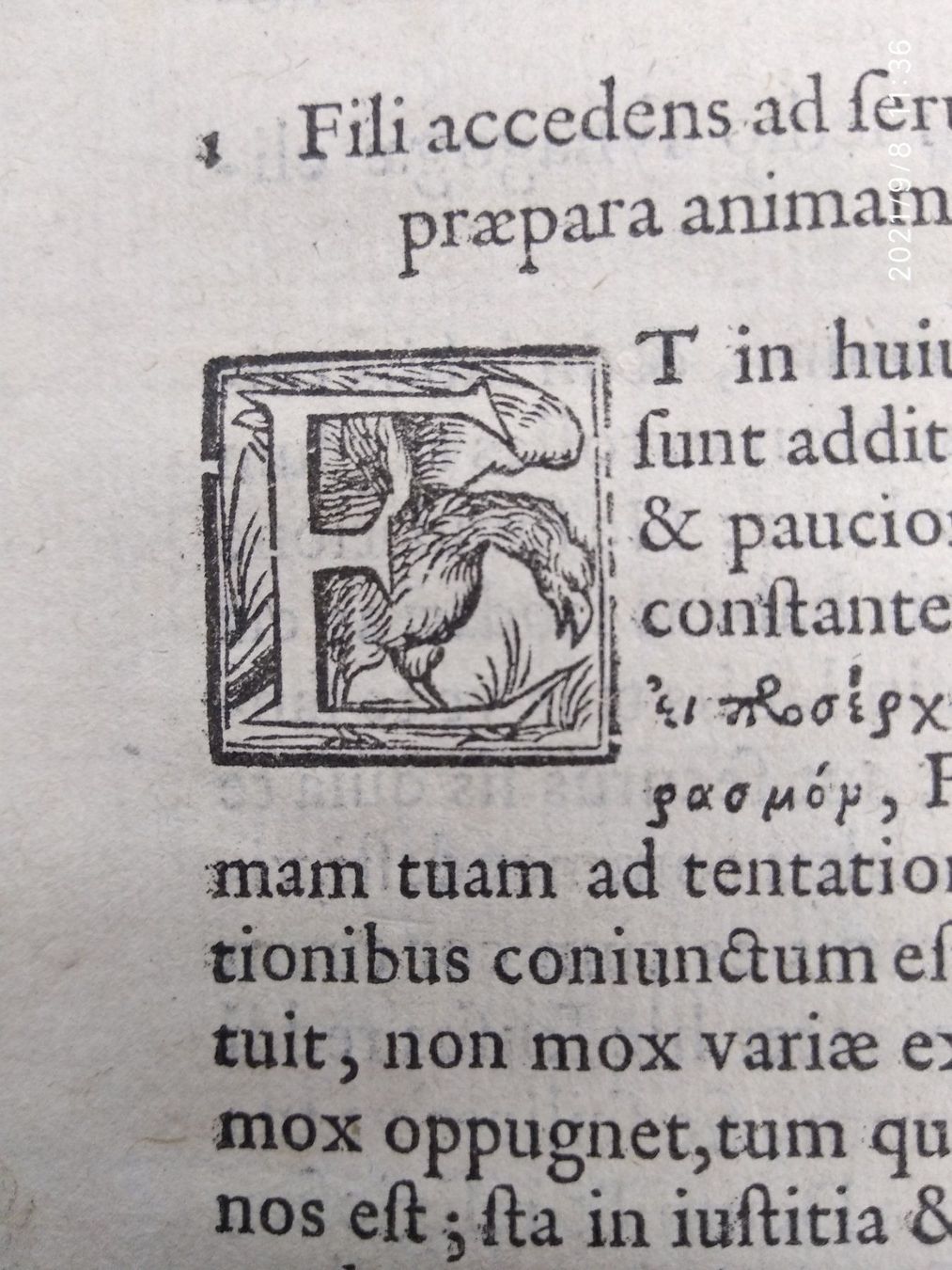 Libri: JANSENIUS - COMMENTARII - 1569 – Usato da Goldach venduto da Gaip