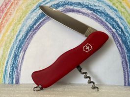 VICTORINOX - Alpineer - Sackmesser