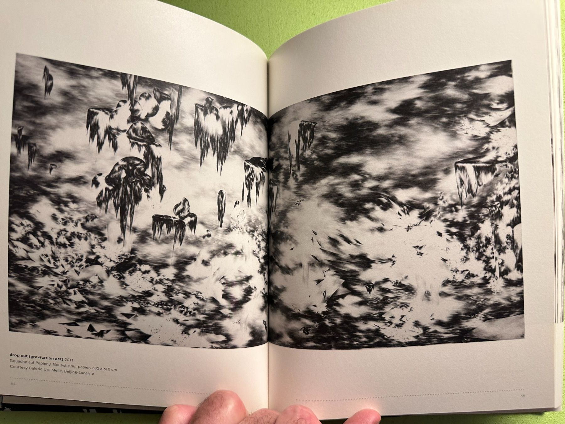 Libri: Julia Steiner: Kaleidoskop. d/f – Usato da Zürich venduto da allp 6
