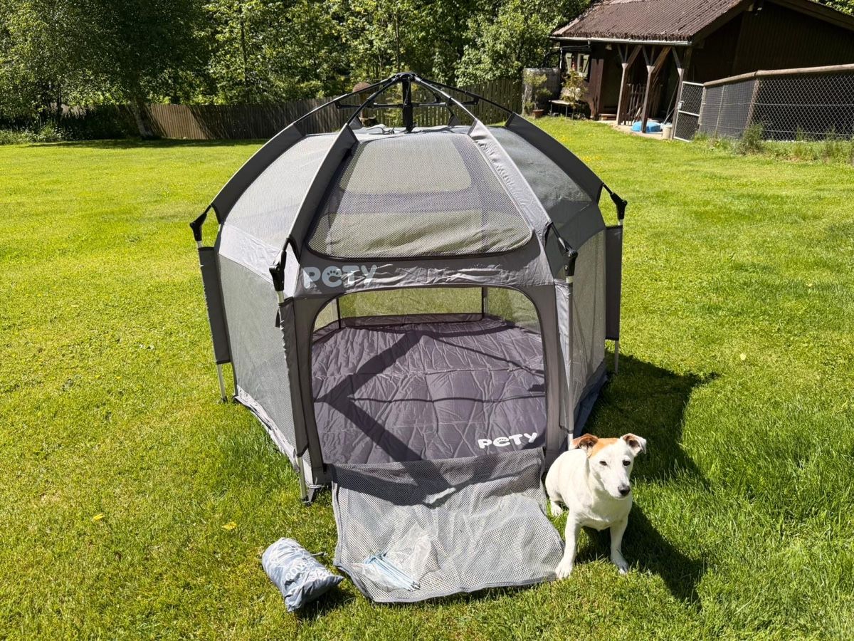 Cucce & Letti: Hundezelt Pety  – Usato da Steg im Tösstal venduto da andreas.brunner84 2