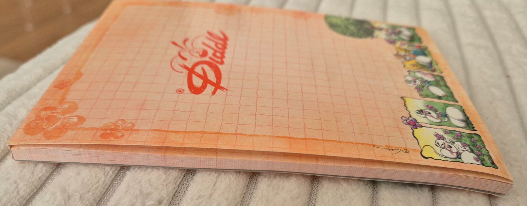 Blocchi: Diddel Block a6 Format – Usato da Urtenen-Schönbühl venduto da Rose.9294 3