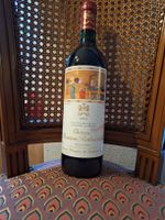 Mouton Rothschild 1991 - Exzellenter Zustand! 🍷👌