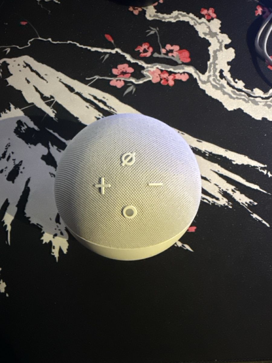 Amazon Casse acustiche: Amazon Echo Dot Lautsprecher weiss wie neu – Usato da Kerzers venduto da Helvetica.CH 1