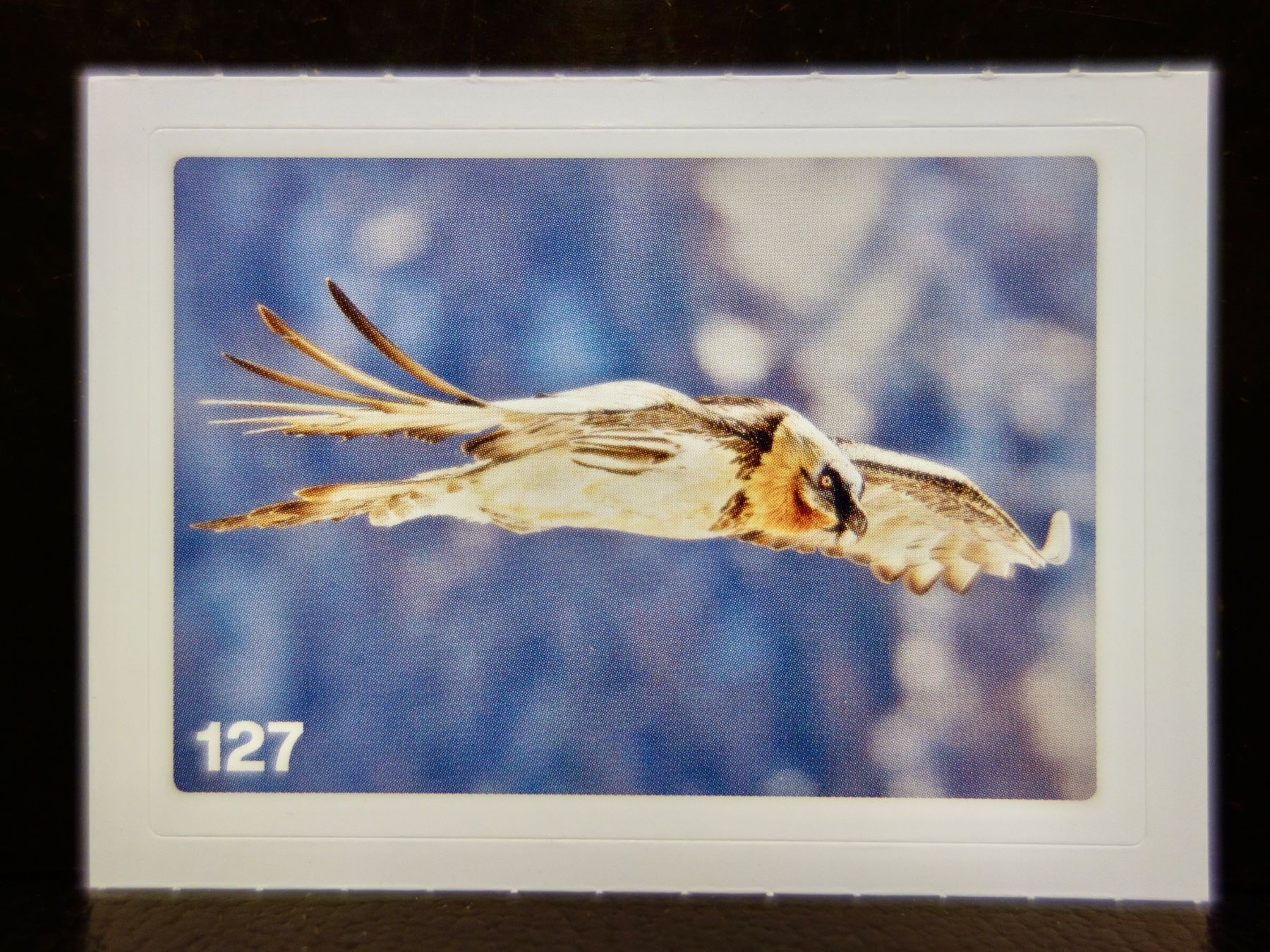 Migros Sammelbilder & Trading cards: MIGROS MANIA Nature Detectives Nr. 127 – Neu und originalverpackt aus Kerzers von djstarsky73