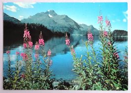 Am Silsersee am Oberengadin